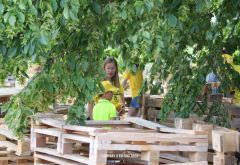 Huttendorp Hoorn 2023 - Dag 2 dinsdag