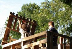 Huttendorp 2025 - Dag 4 foto's