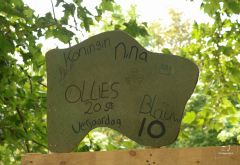 Huttendorp Hoorn - Dag 2