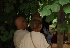 Huttendorp Hoorn - Huttendorp by night