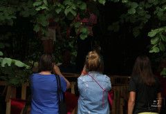 Huttendorp Hoorn - Huttendorp by night